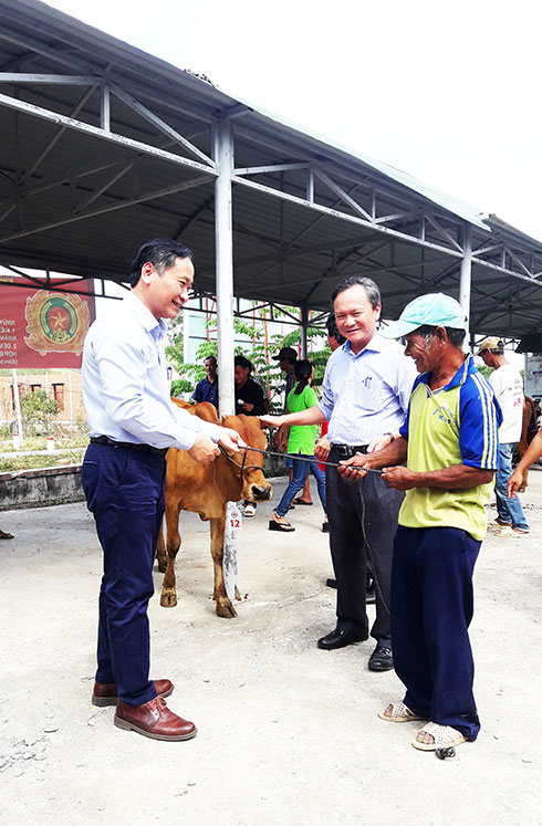 Trao bò giống cho người dân huyện Khánh Vĩnh