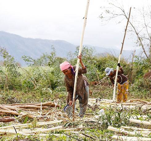 Tiếp tục tập trung 4 nội dung lớn