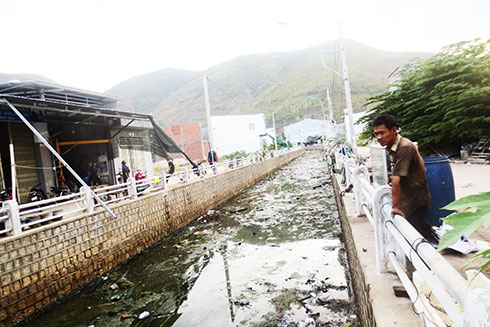 Ô nhiễm ở Hòn Rớ