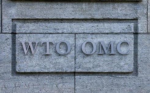 Phàn nàn bị đối xử bất công, Mỹ dọa rút khỏi WTO