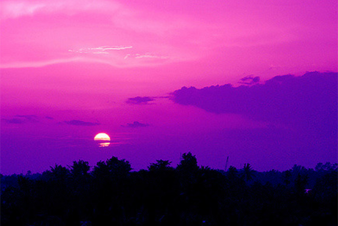 Chiều ơ hờ nghe tím mưa giăng...