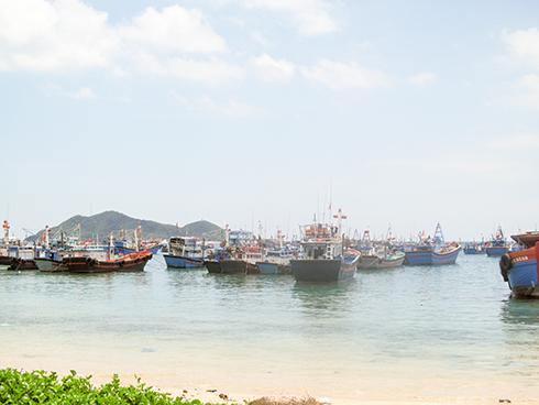 Hàng loạt tàu cá nằm bờ tại cảng Đại Lãnh.  