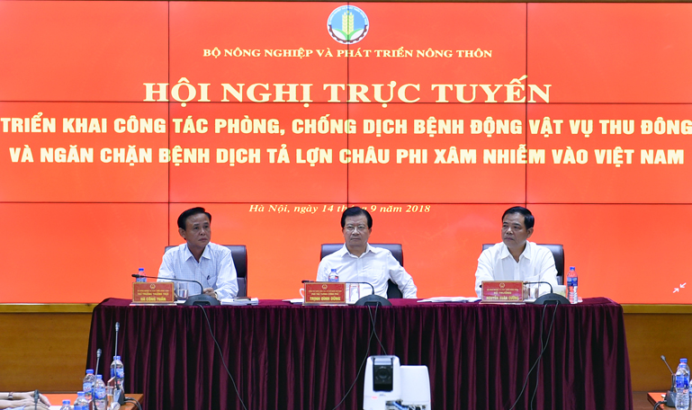 Chủ động phòng ngừa bệnh dịch tả heo châu Phi