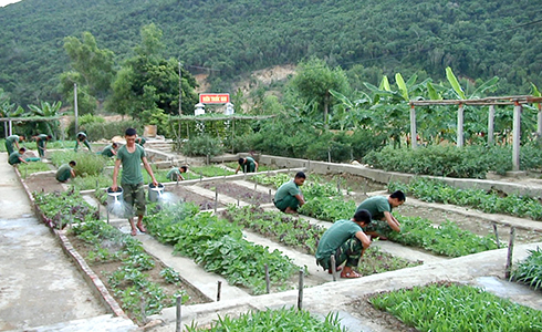 Lính đảo tăng gia sản xuất