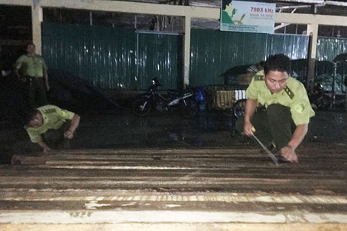 Tăng cường "truy" gỗ lậu về đêm