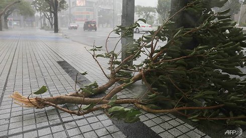 Thành phố Naha, tỉnh Okinawa, Nhật Bản chịu ảnh hưởng của bão Trami từ hôm 29/9. Ảnh: AFP