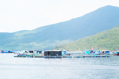 Vùng nuôi mới đề xuất tại Mũi Me (Đầm Môn) vướng Cảng trung chuyển quốc tế Vân Phong.