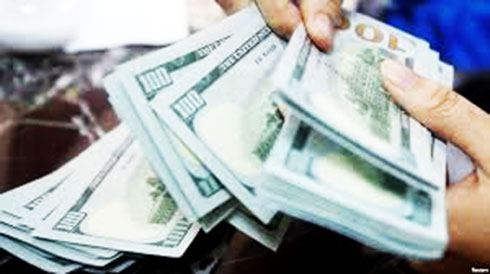 Giá USD trong nước tăng theo thế giới