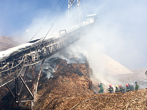 Cháy tại Nhà máy Chế biến dăm gỗ Cát Phú Cam Ranh