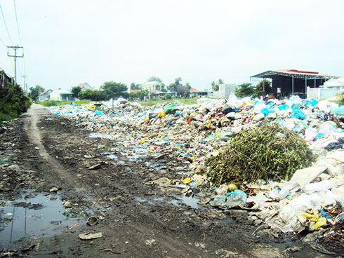 Bãi rác gây ô nhiễm