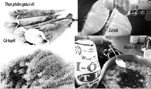 Bổ sung i-ốt từ thực phẩm