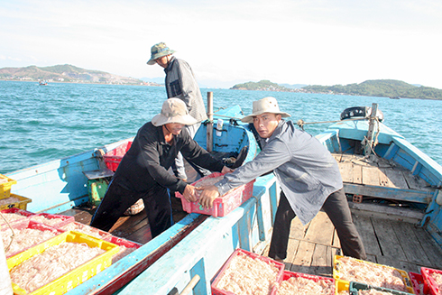 Mô hình đồng quản lý nghề cá ven bờ: Hiệu quả bước đầu