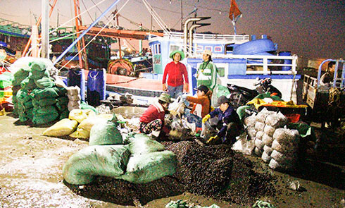 Đêm không ngủ ở cảng cá Đá Bạc