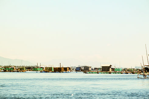 Mật độ nuôi hải sản bằng lồng bè dày đặc trên vịnh Cam Ranh. 
