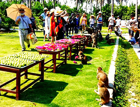 Fruit buffet for monkeys, a highlight on Monkey Island 