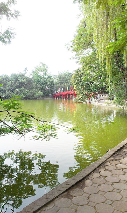 Nhà cha mẹ, ta sẽ về lợp lại