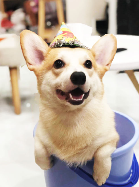 Hướng dẫn chụp ảnh 3D bằng tính năng mới của Facebook