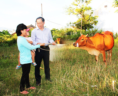 Ông Nguyễn Đắc Tài trao bò giống cho người dân.