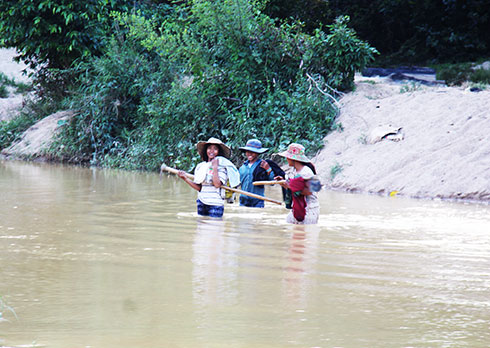 Người dân lội qua sông Cầu khi qua lại khu vực sản xuất suối Chuối.