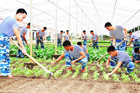 Hội thi "Đơn vị xây dựng và quản lý doanh trại chính quy, xanh, sạch, đẹp"