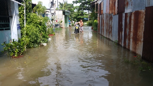 Hàng chục nhà dân bị ngập sau cơn mưa lớn