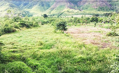 Khu giết mổ gia súc, gia cầm tập trung: Tìm địa điểm khác