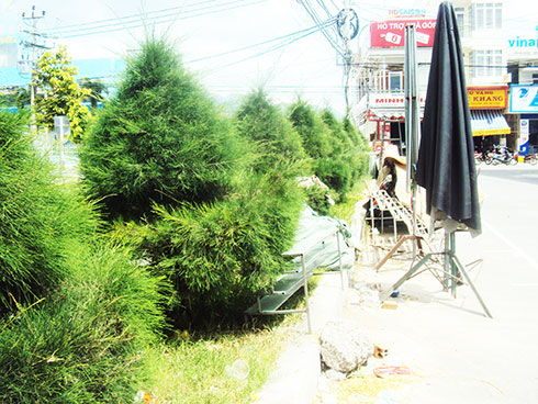 Dải phân cách thành nơi chứa đồ