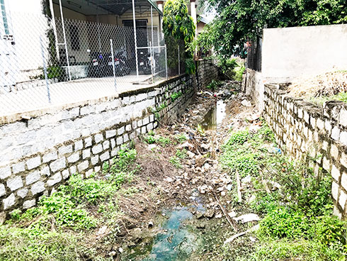 Tổ dân phố 15 phường Ninh Hiệp: Ô nhiễm từ nước, rác thải