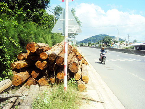 Chất gỗ nơi hành lang quốc lộ