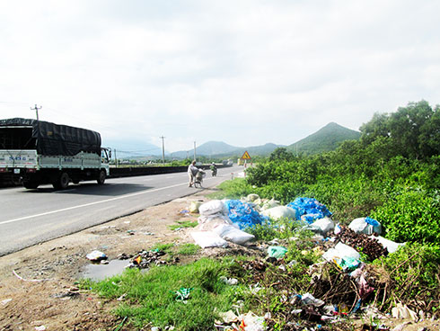 Cam Ranh: Nan giải dẹp nạn đổ sò, ốc chết