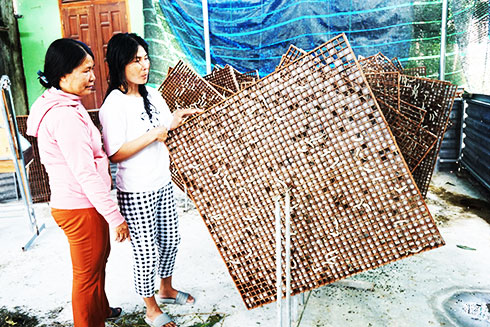 Bà Lê Thị Kim Linh (bên phải) trao đổi về kỹ thuật nuôi tằm.