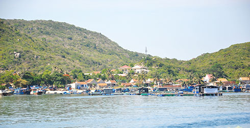 Ra thăm làng nổi Khải Lương