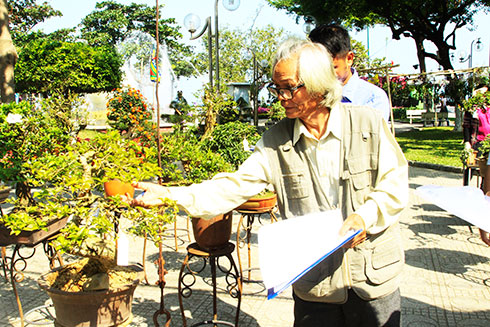 Phong trào sinh vật cảnh ngày càng phát triển