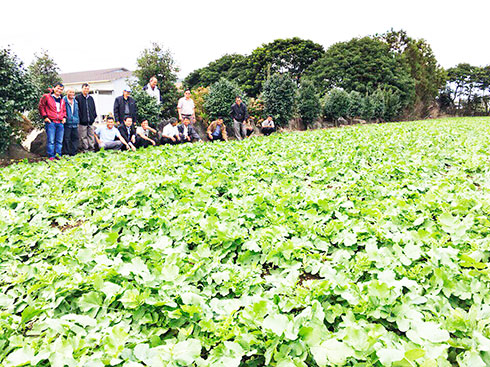 Nông dân Khánh Hòa: Học tập cách làm nông nghiệp ở Hàn Quốc