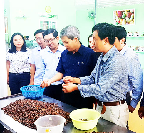 Nghiệm thu đề án sản xuất chocolate từ cacao