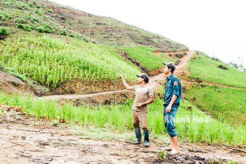 Niềm vui chưa trọn