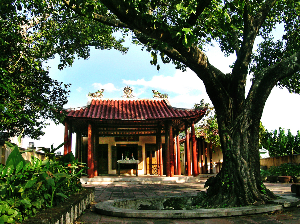 Shrine to hero Trinh Phong is located near Dipterocarpus alatus twin tree in Phu An Hamlet, Dien An Commune, Dien Khanh District, recognized as national cultural and historical monument in 1991.