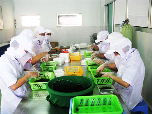 Sản phẩm nông lâm thủy sản: Cần tăng cường chế biến sâu