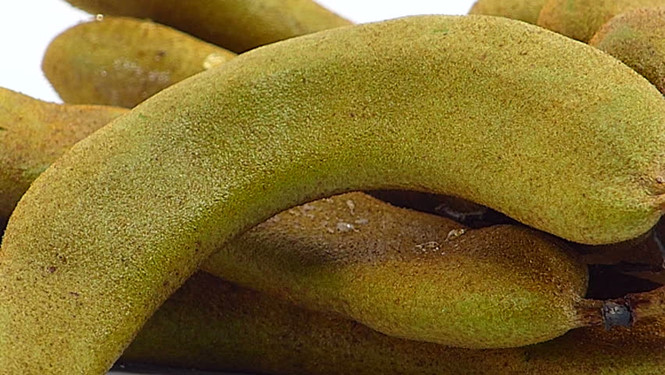 Quả me giúp tiêu diệt vi khuẩn kháng thuốc