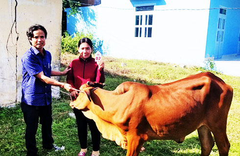 Đại diện Hội Chữ thập đỏ tỉnh trao bò cho người nghèo huyện Vạn Ninh.