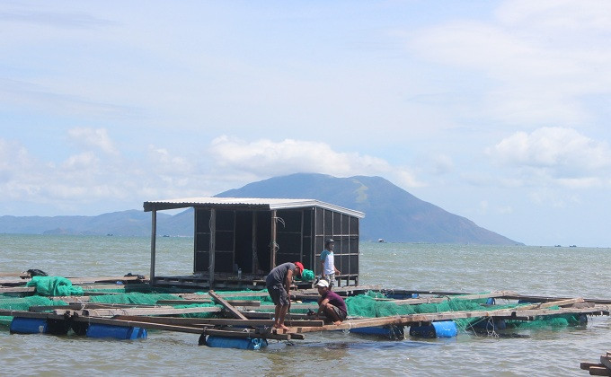 Gia cố lại lồng bè sau khi được kéo vào gần bờ.