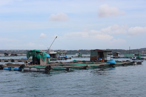 Lồng bè nuôi trồng thủy sản đã được người dân kéo vào nơi an toàn.