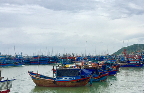 Tàu thuyền đã về tránh trú an toàn tại khu vực Hòn Rớ.