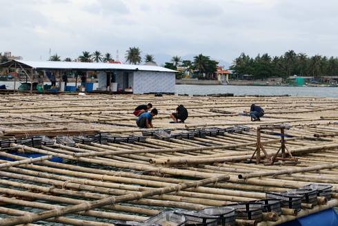 TP. Cam Ranh di dời hơn 1.000 dân ra khỏi khu vực xung yếu