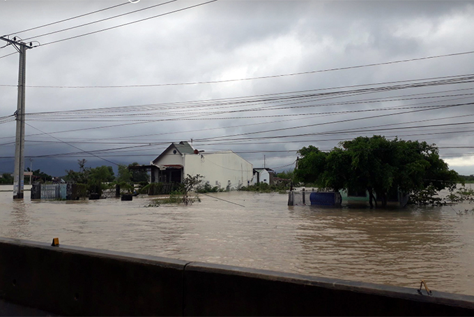 Nhiều cánh đồng hoa màu của bà con ở Cam Ranh bị nước lũ nhấn chìm, gây thiệt hại.