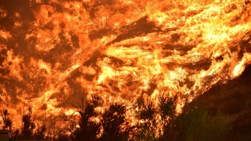 Cháy rừng ở California, Mỹ. Ảnh: The Atlantic.