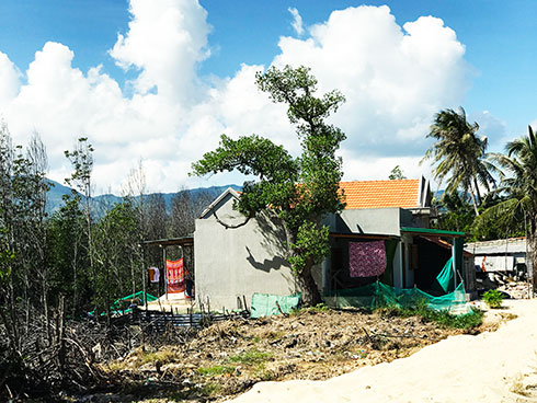 Rừng ngập mặn Tuần Lễ bị thu hẹp