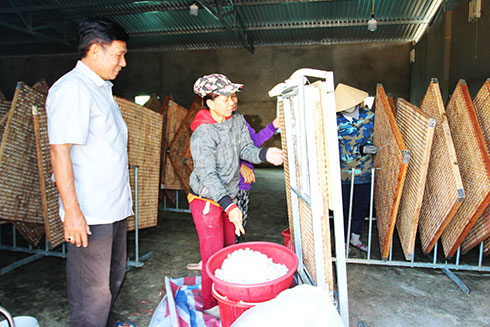 Mô hình trồng dâu nuôi tằm của một cựu chiến binh