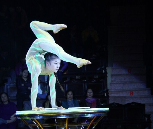 Thi diễn viên xiếc tài năng toàn quốc 2018