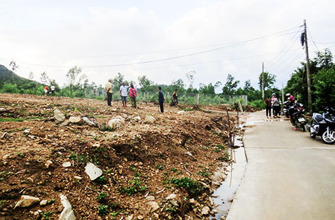 Gom mua đất rừng, sang tay trái phép